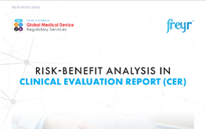 RISK-BENEFIT ANALYSIS IN CLINICAL EVALUATION REPORT (CER)